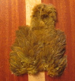 Brahma hen soft hackle  w/chickabou  gold/olive   Whiting